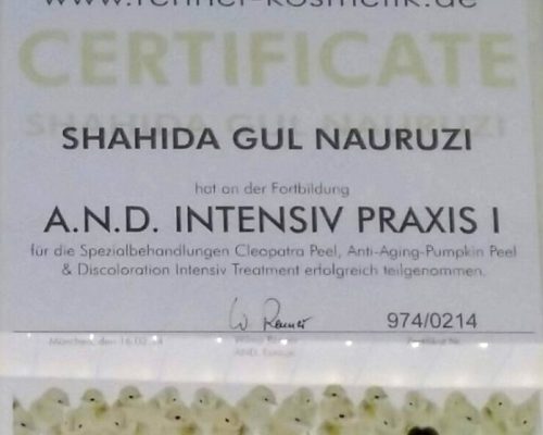 Zertifikat AND Intensive I